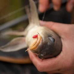 Fjuka 2in1 Pellets Red 8 Fjuka 2in1 Pellets Red -Viswinkel 1532172Fjuka 2in1 Red 1 2