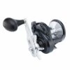 Shimano Torium A 16HG -Viswinkel 3478811Shimano Torium A 16HG