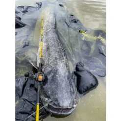 Black Cat Cast 301LH Reel -Viswinkel 4017421Black Cat Cast 301LH Reel 6