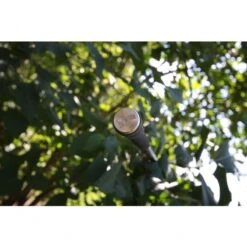 Nash Entity 12ft 3.00lbs Full Shrink -Viswinkel 4324471Nash Entity 12ft 3 00lbs Full Shrink 2