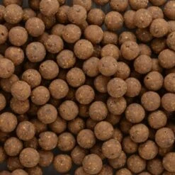 SAGA Excellent Range Squid Addict 1kg -Viswinkel 9937272211SAGA Excellent Range Squid Addict 1kg