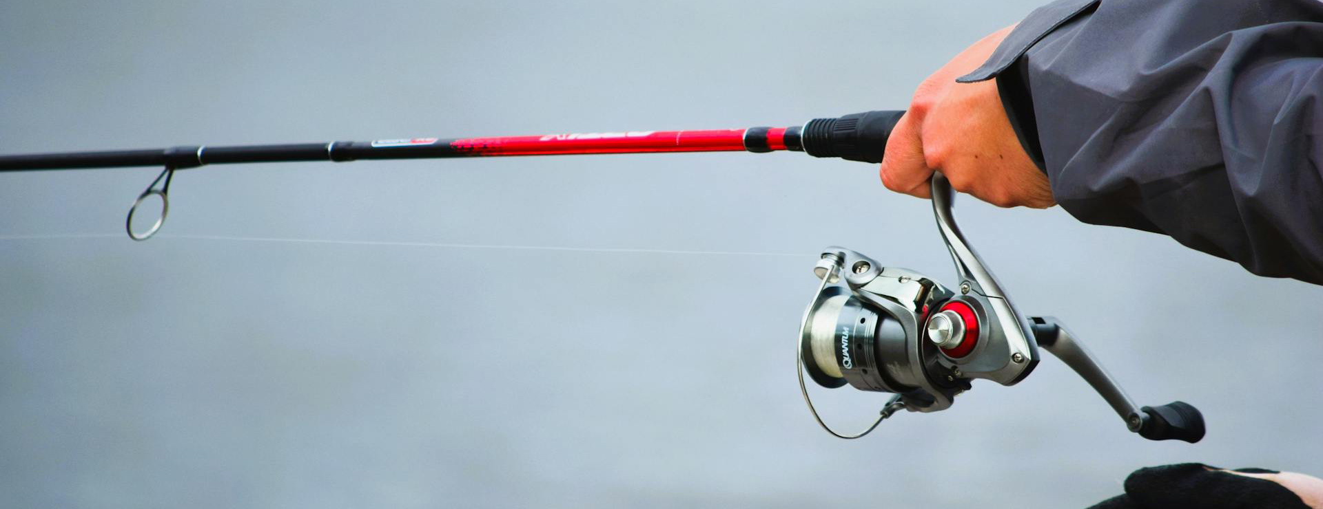 Viswinkel -Viswinkel pexels deneen l treble 390196 32290757